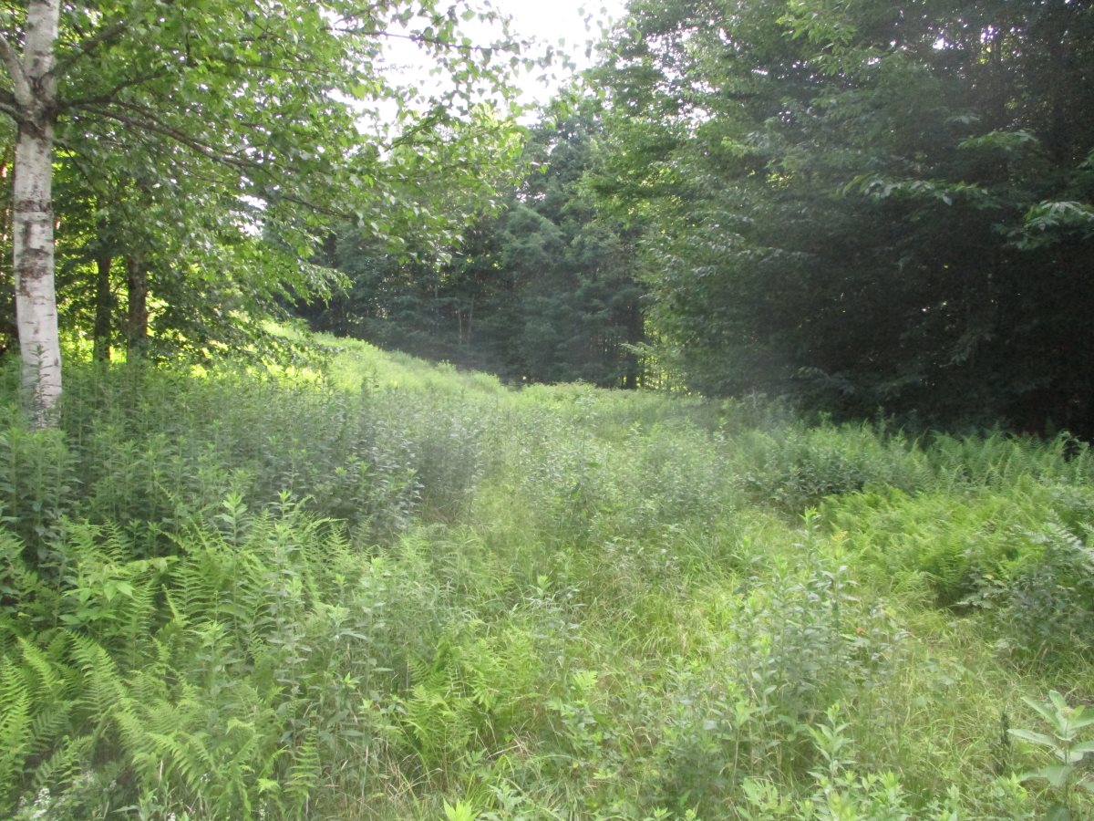 Lot 8 Brookview Lane