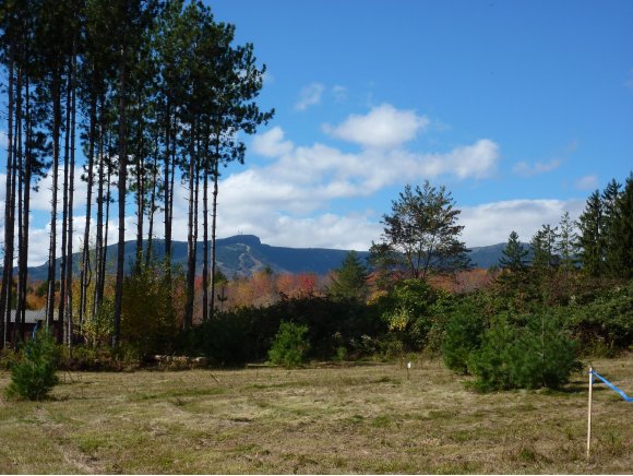 Lot 8 Edson Hill Manor
