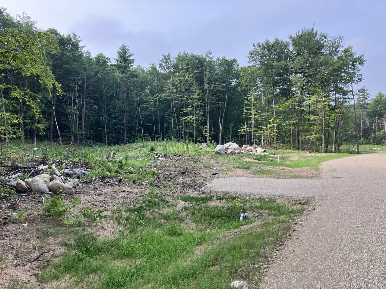 Flat, cleared lot w/driveway