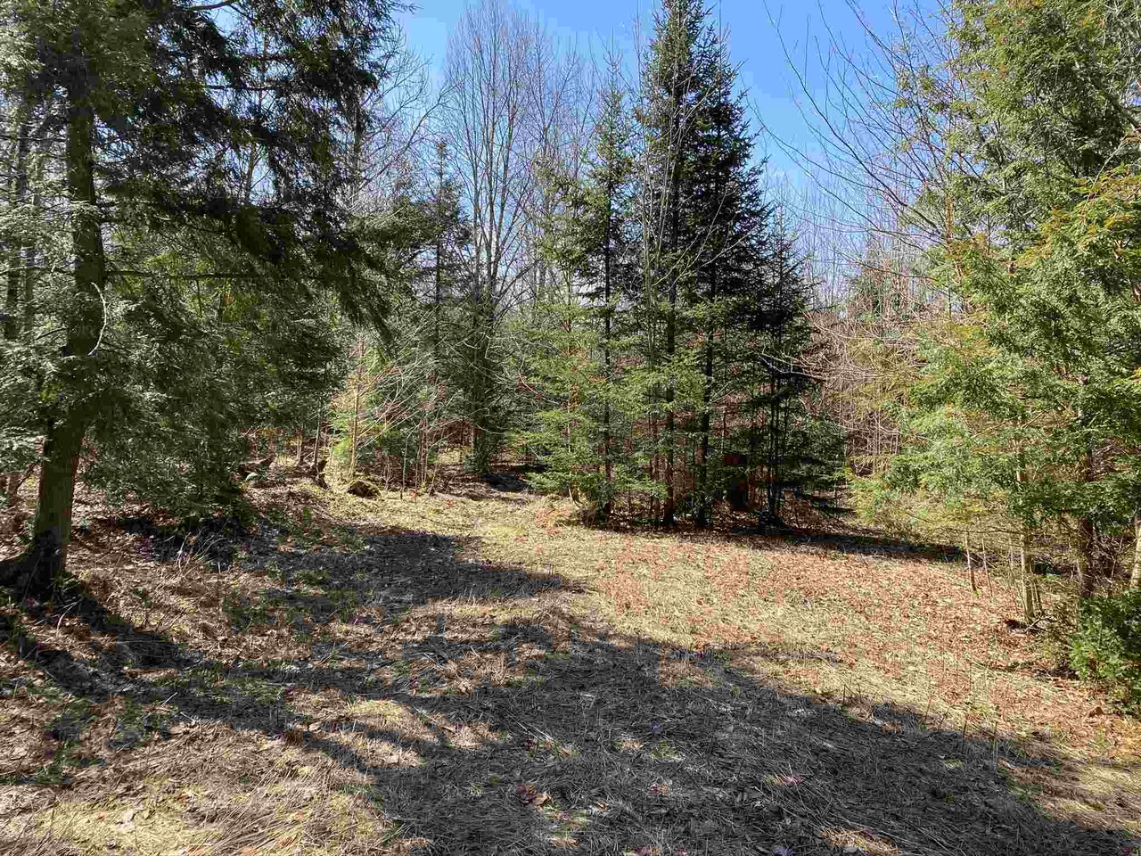 Lot 8 Mountain Estates Drive