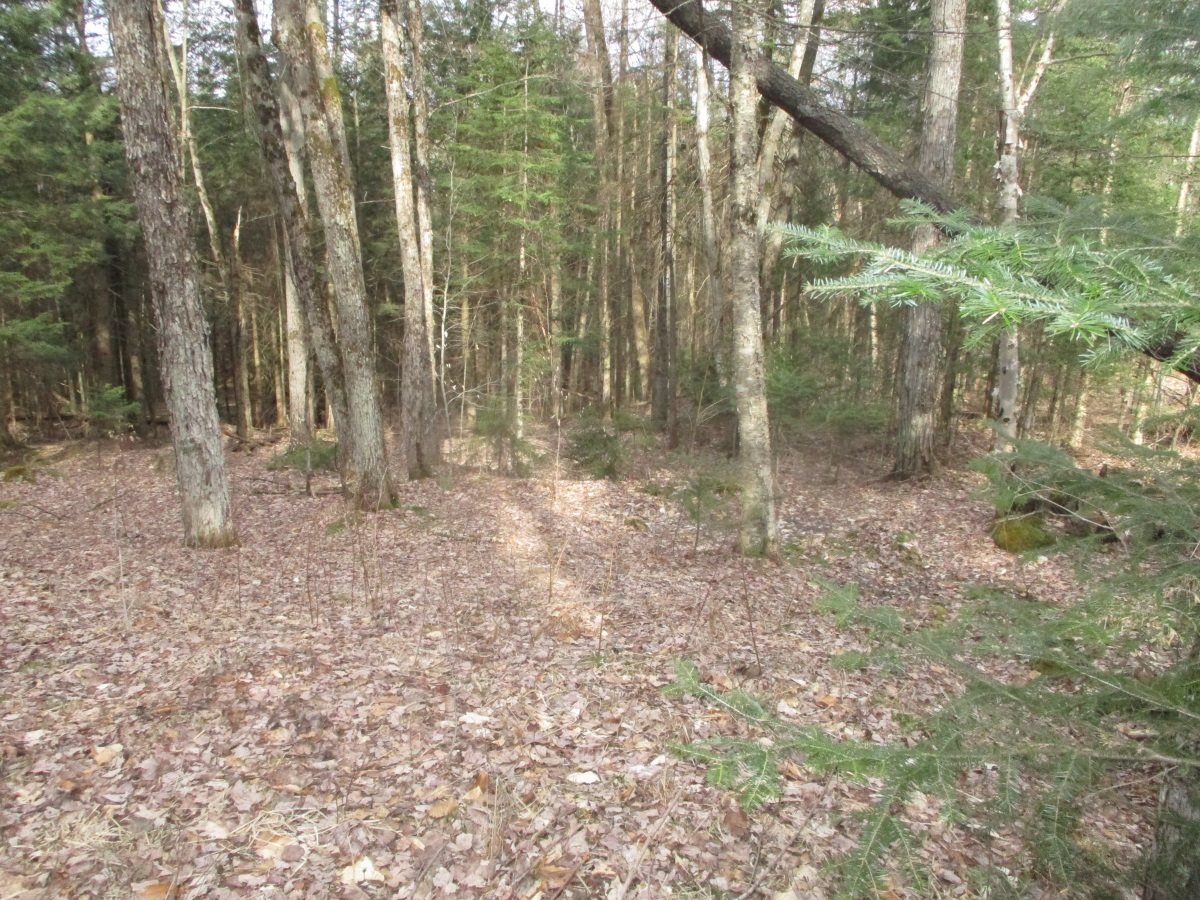 Lot 8 Sugar Ridge Lane