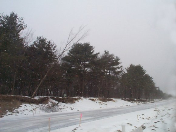 Lot #8 Sycamore ST