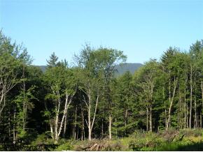Lot 9 EDSON HILL MANOR Rd