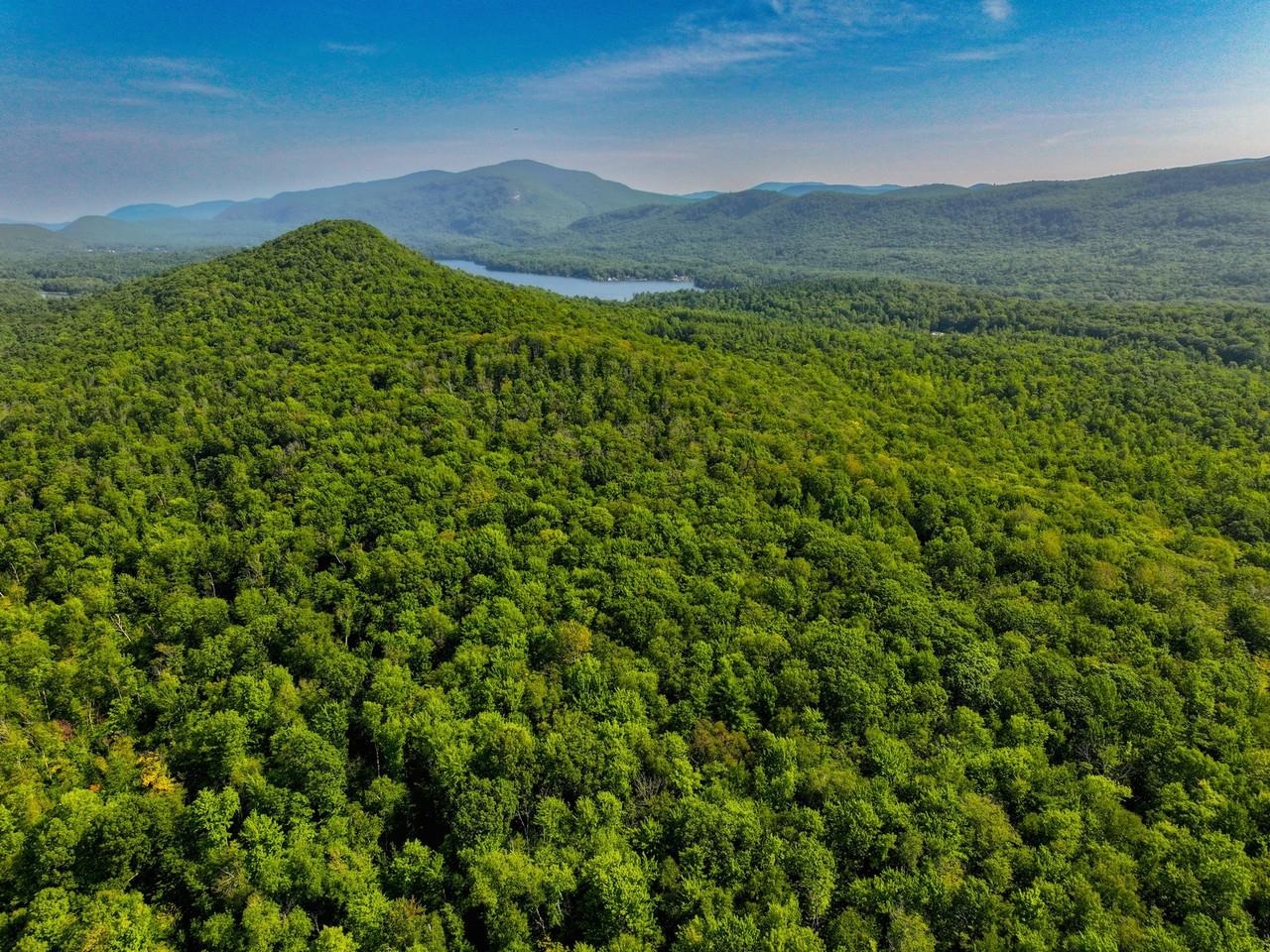 Build your dream home here.