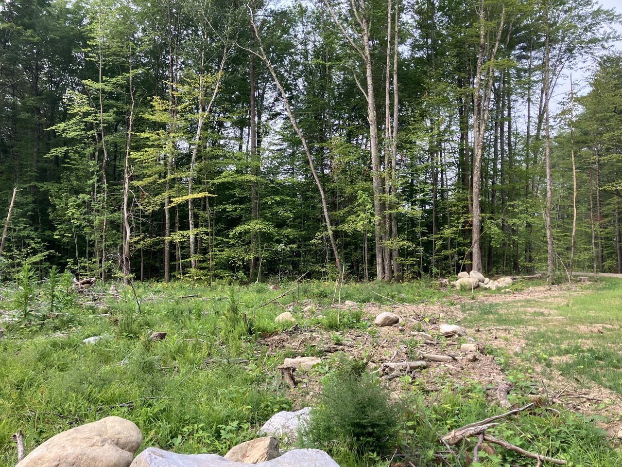 2nd largest lot in development