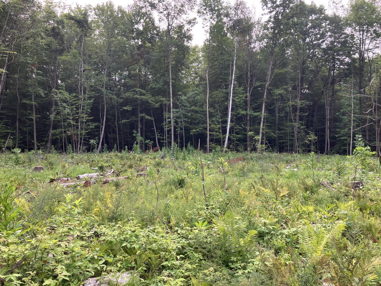 Lot 9 is at highest elevation