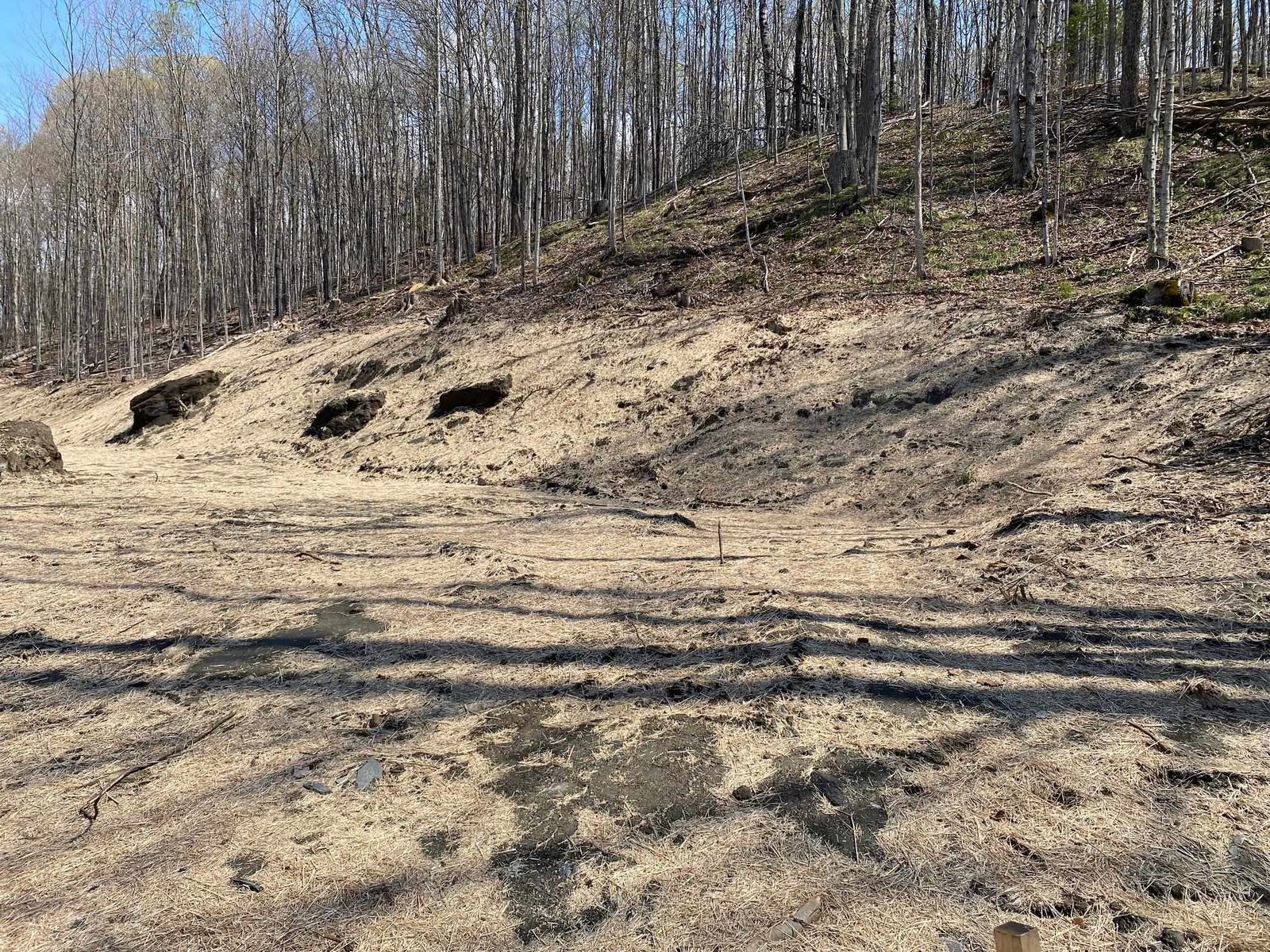 Lot 9 Maplewood Avenue
