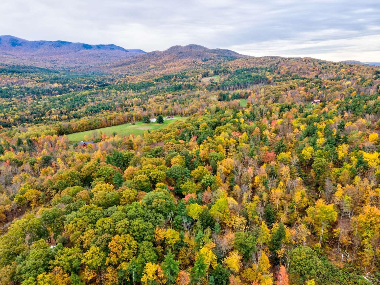 Lot 9 South Applesauce Hill