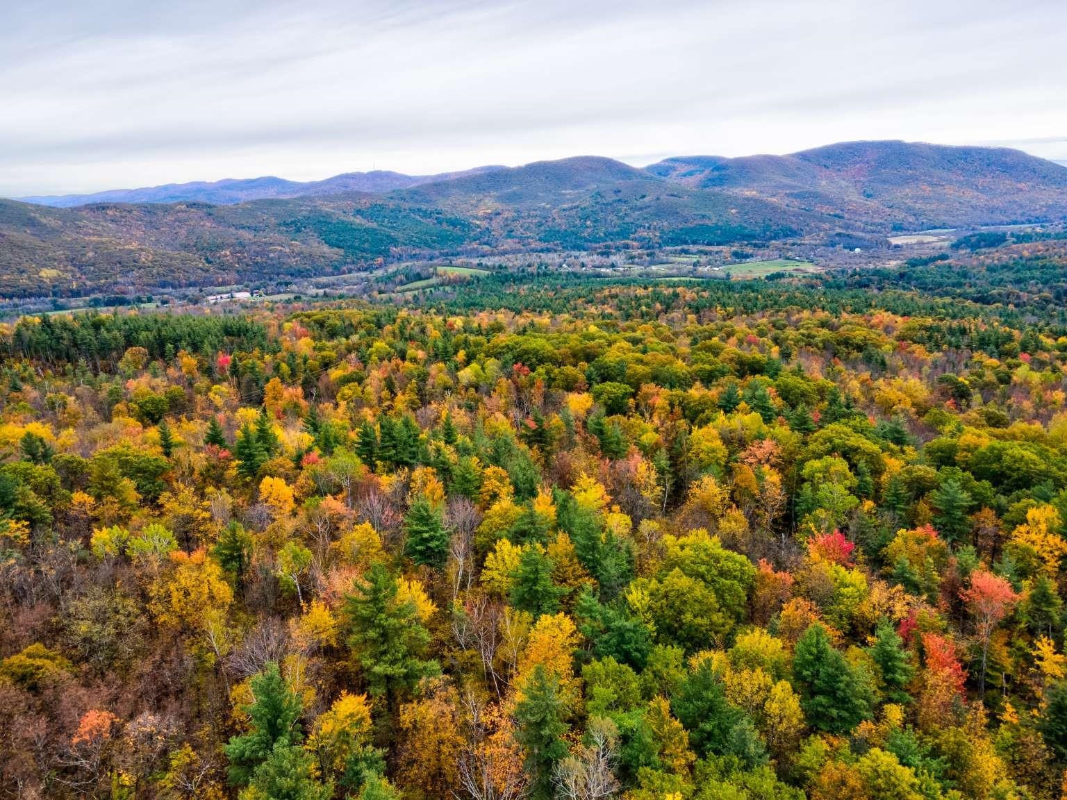 Lot 9 South Applesauce Hill
