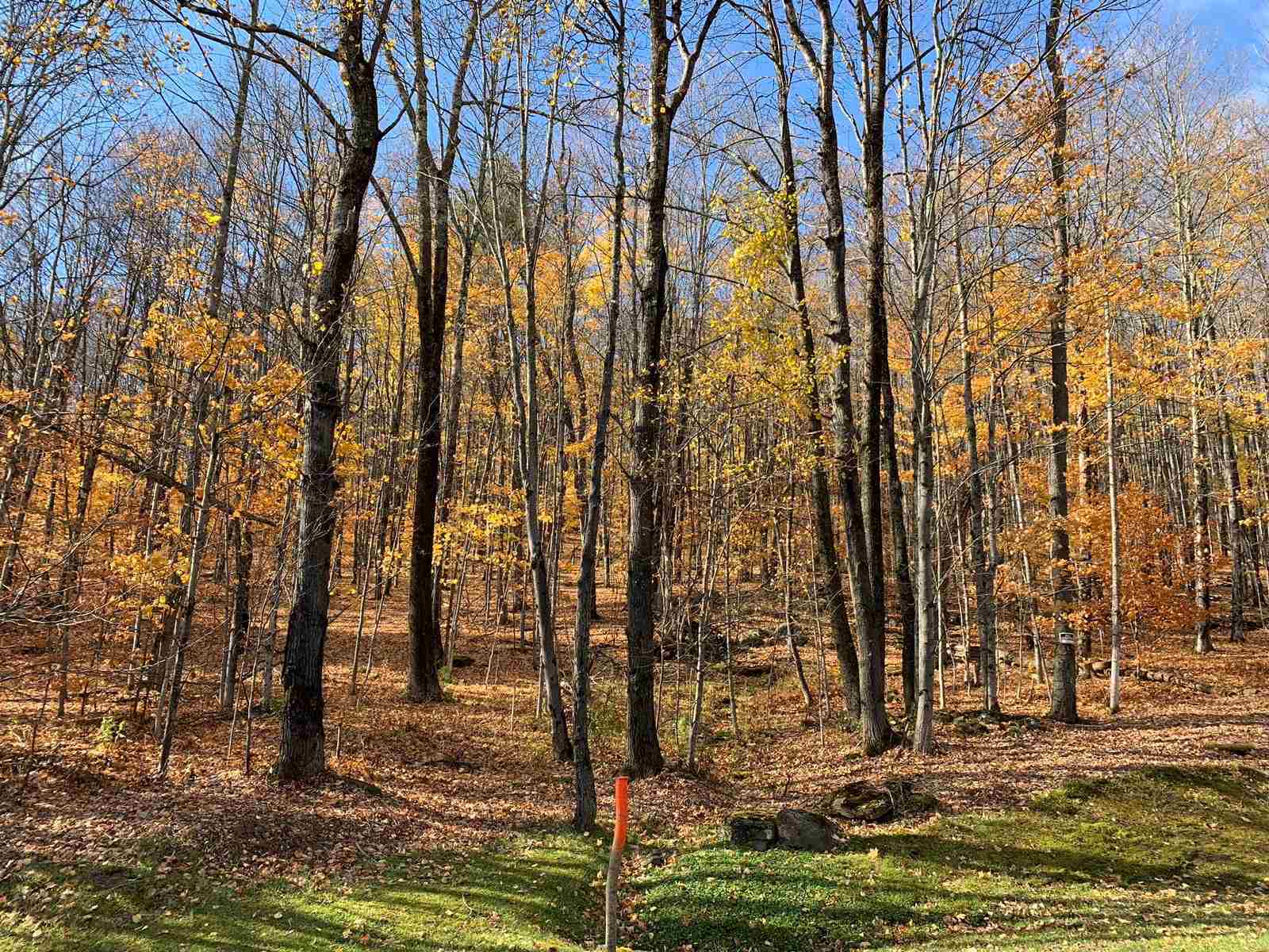 Lot 97 Wade Pasture Road