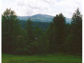 LOT B Cady Hill Road