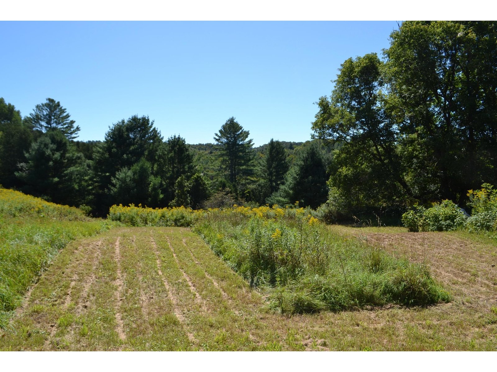 Lot B Gallison Hill Road