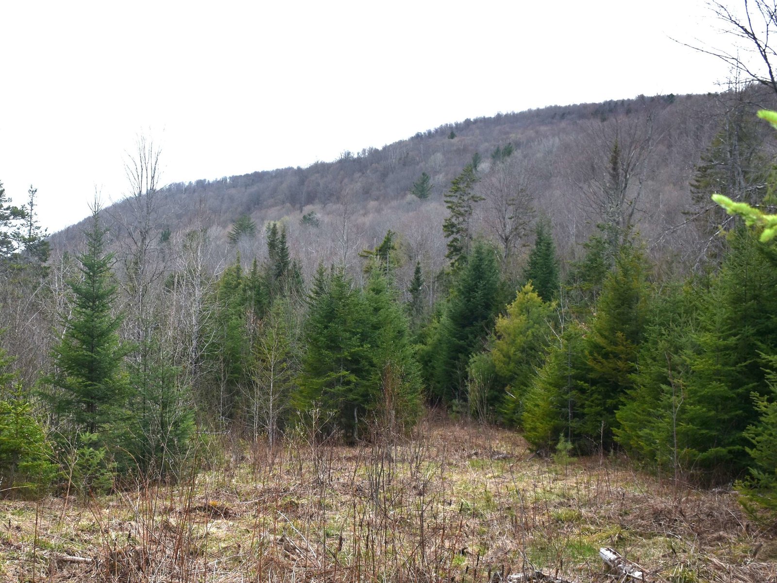 Lot B Windmill Lane