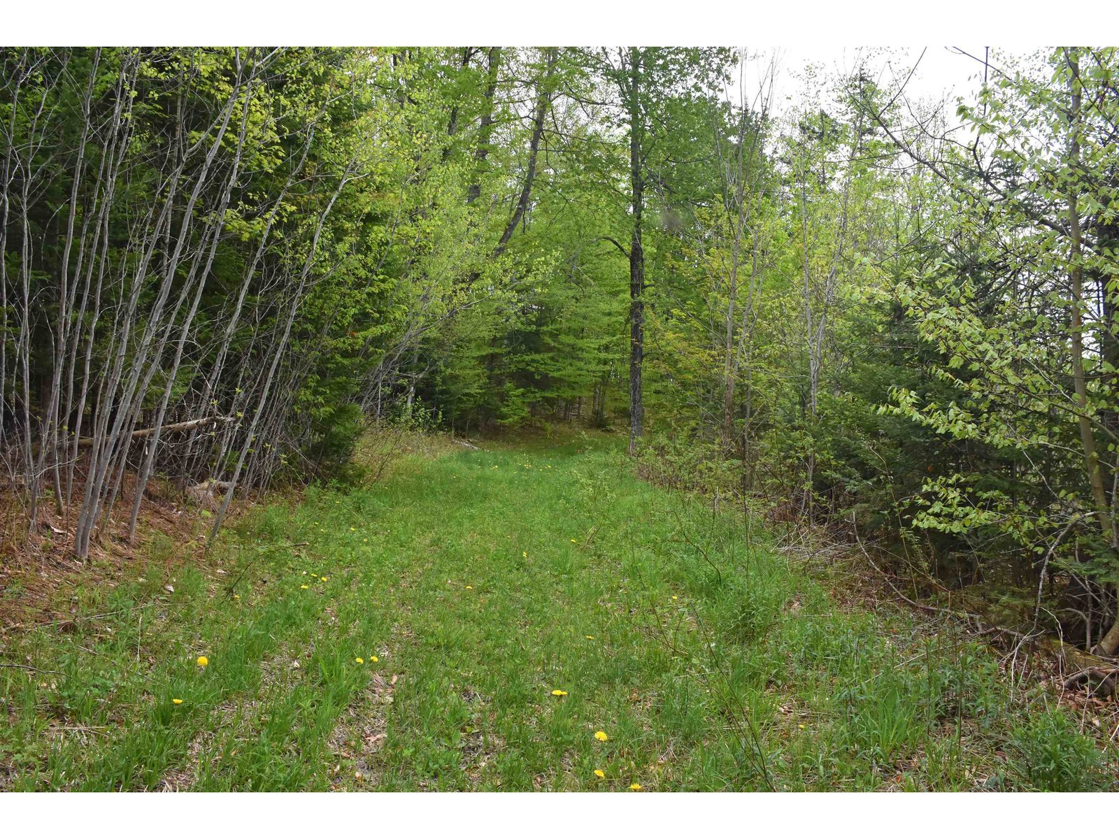Lot B Windmill Lane
