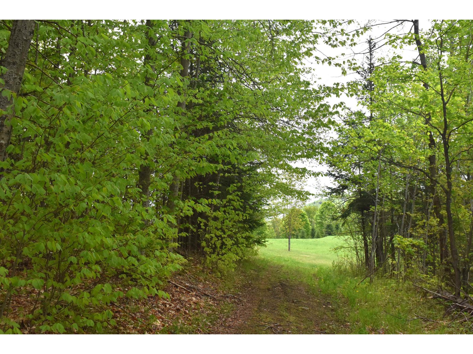 Lot B Windmill Lane