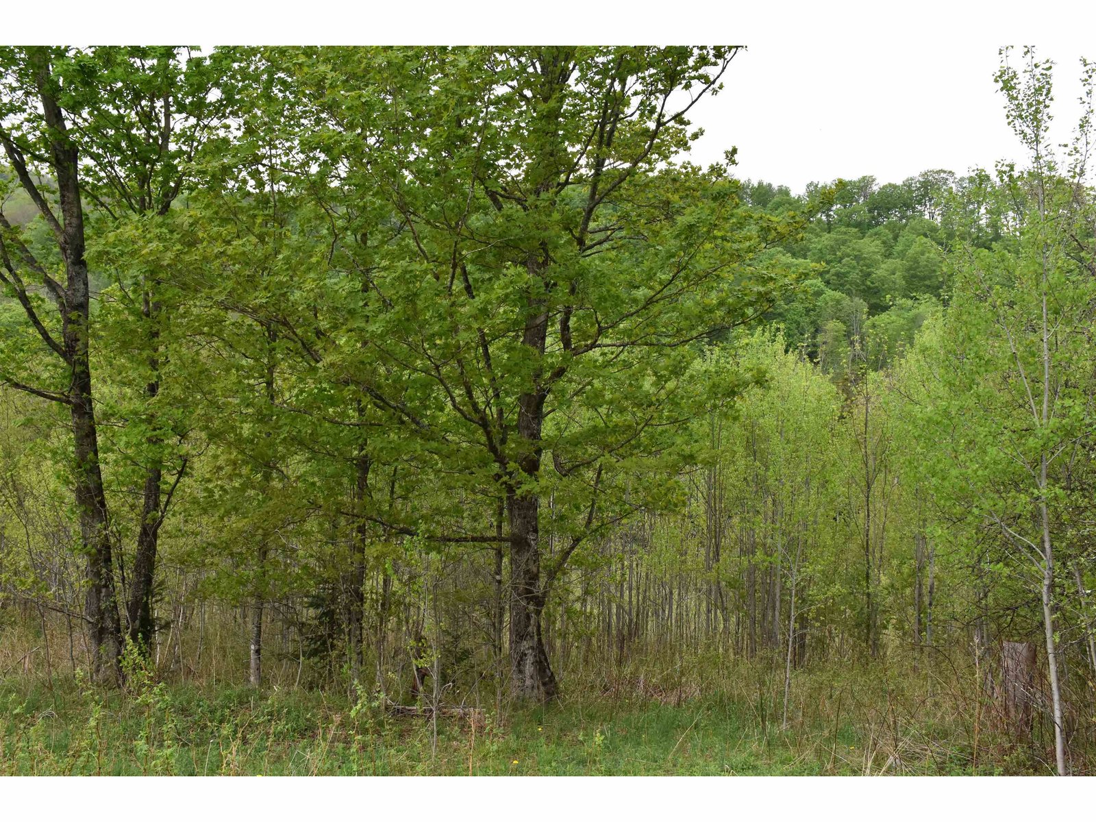 Lot B Windmill Lane