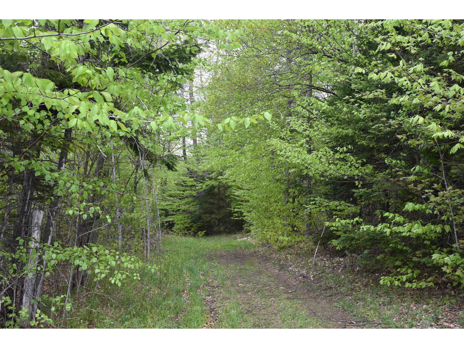 Lot B Windmill Lane