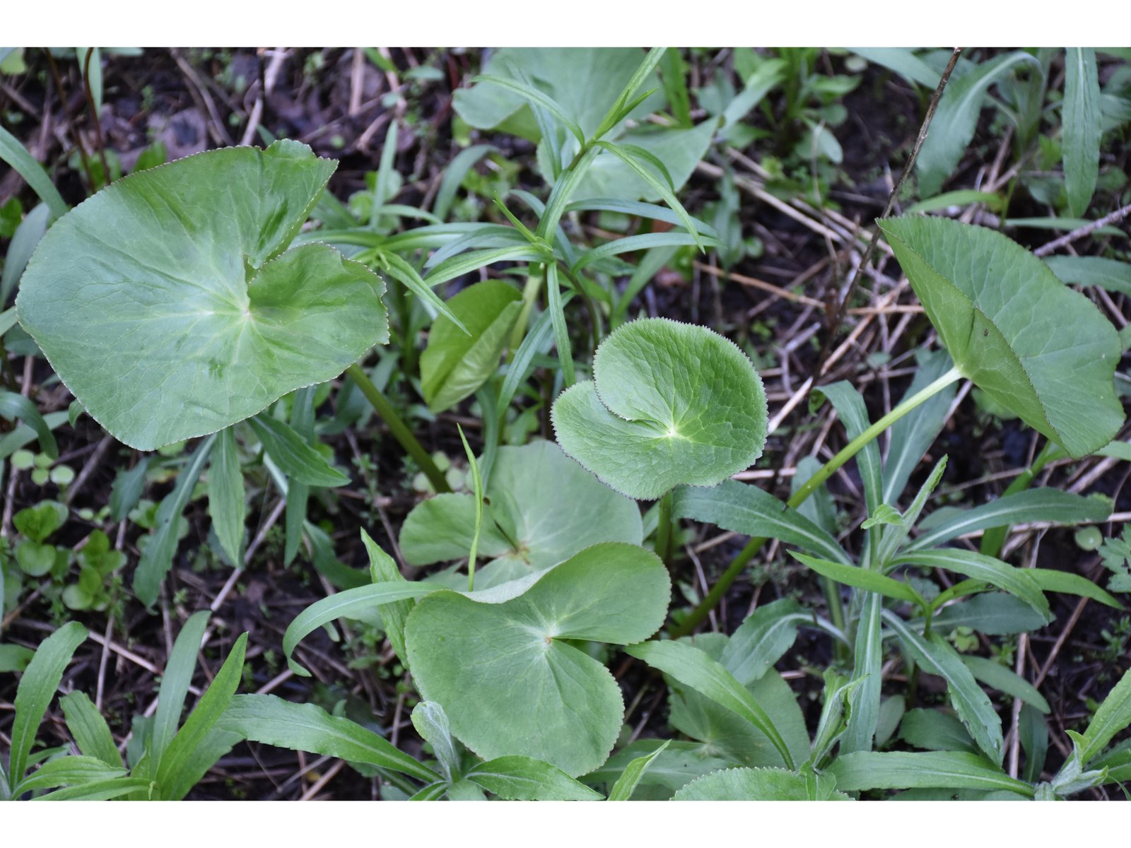 Lot B Windmill Lane