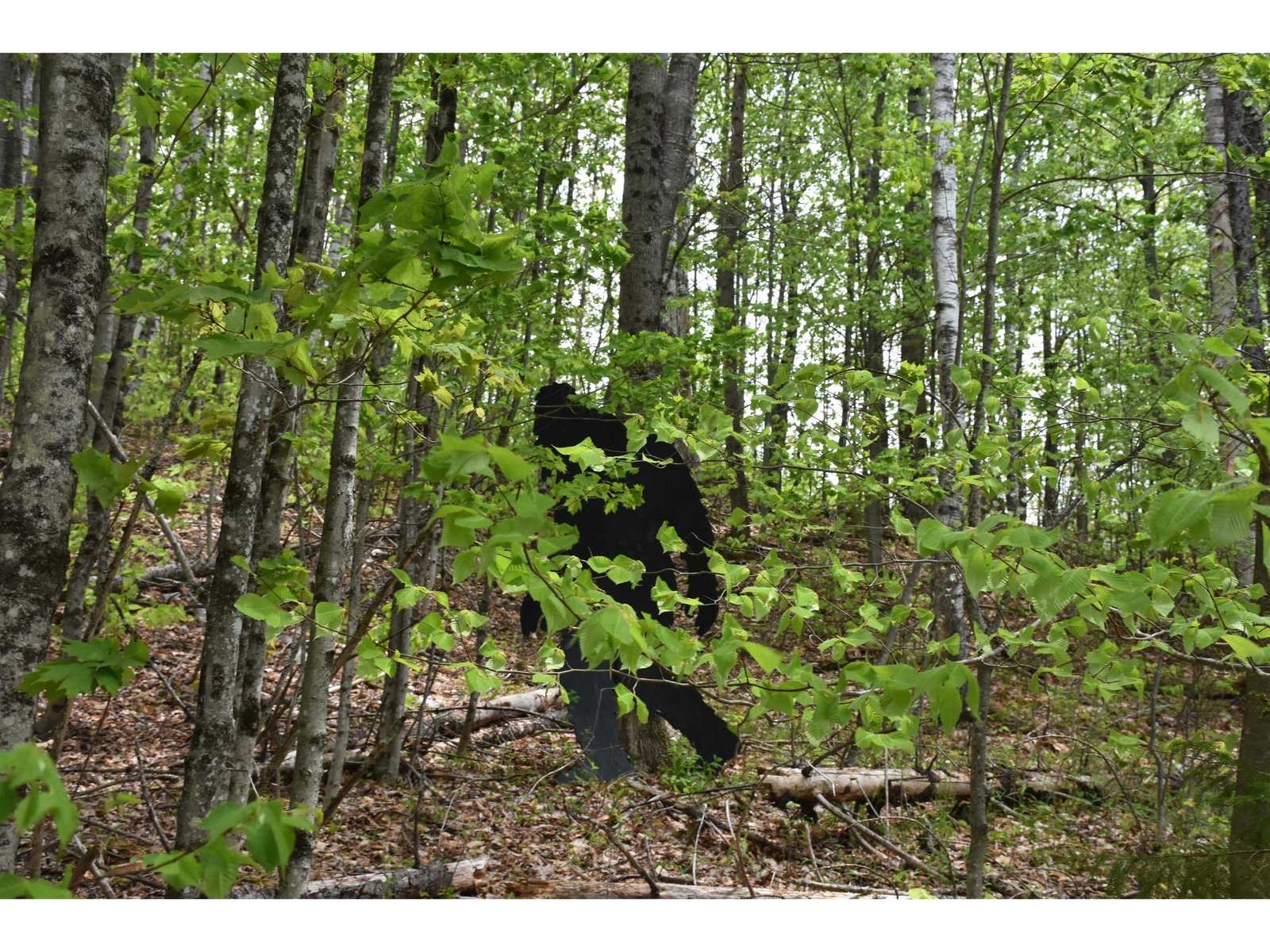 Lot B Windmill Lane