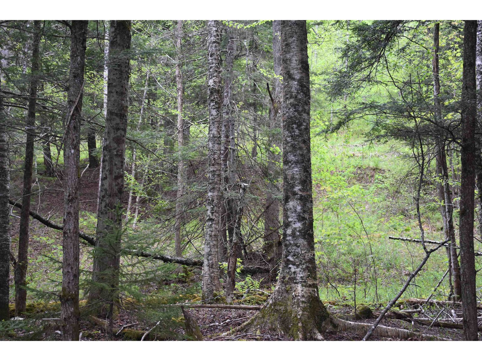 Lot B Windmill Lane