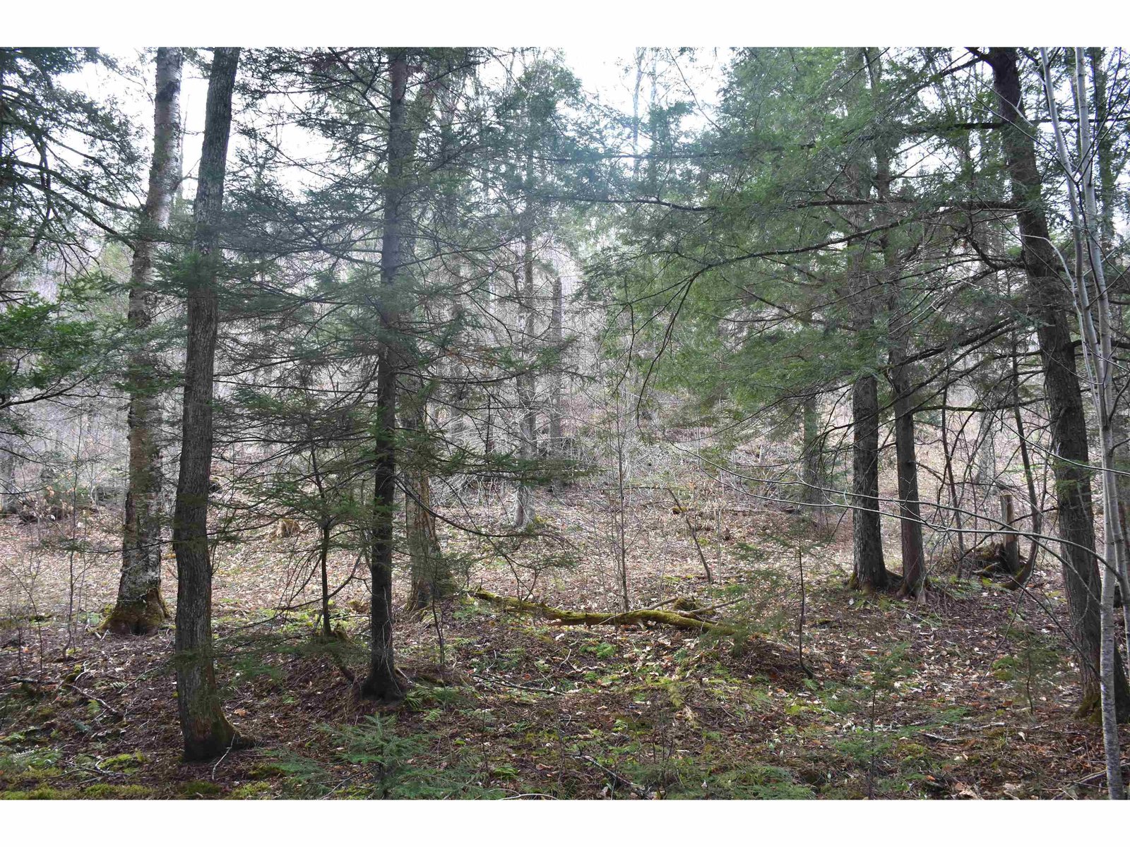 Lot B Windmill Lane