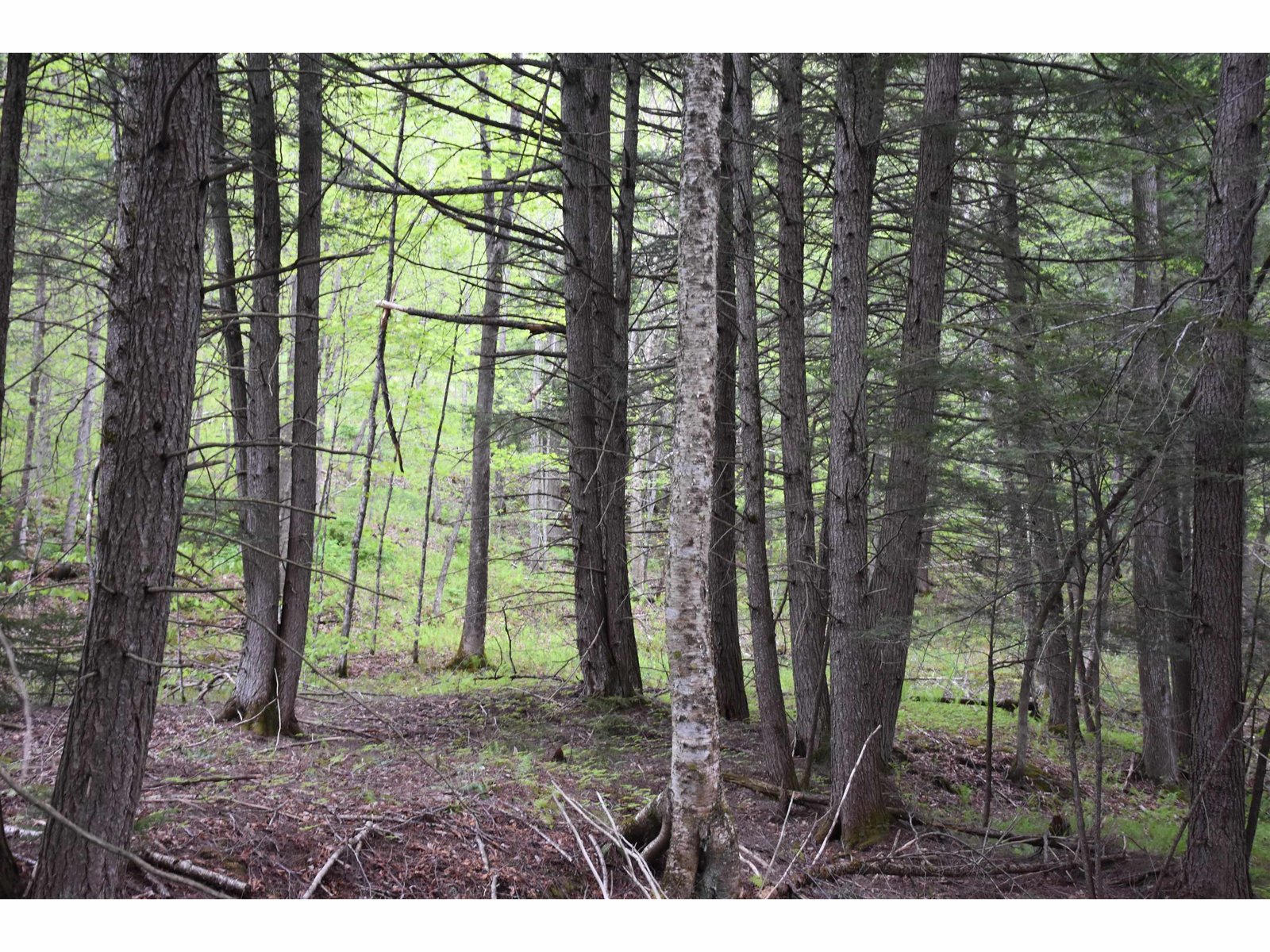 Lot B Windmill Lane