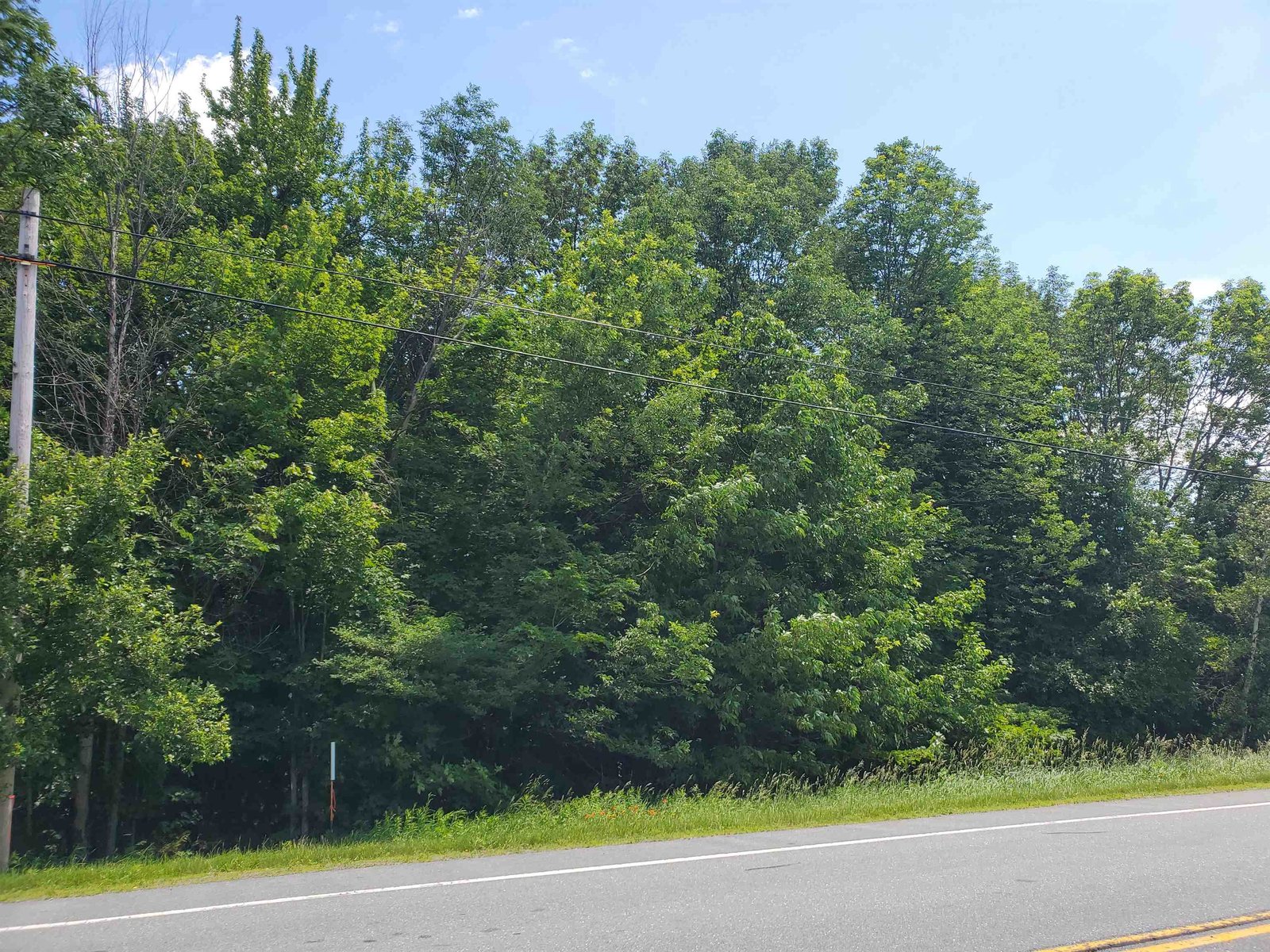 Lot E/S VT Route 101