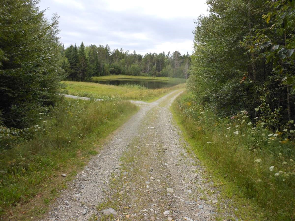 Lot F Carpentier Farm Road