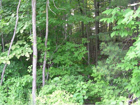 Lot#3 Racine Road