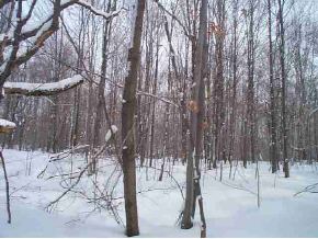 LOT#3 Romar Road