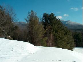 Lot#5 Off Mountain Rd