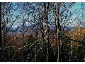 Lot#7 Bryan Road