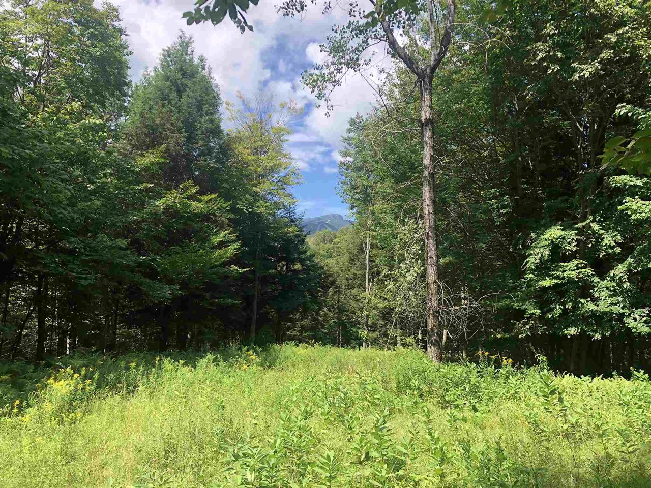 Lot#8 Robinson Springs Road