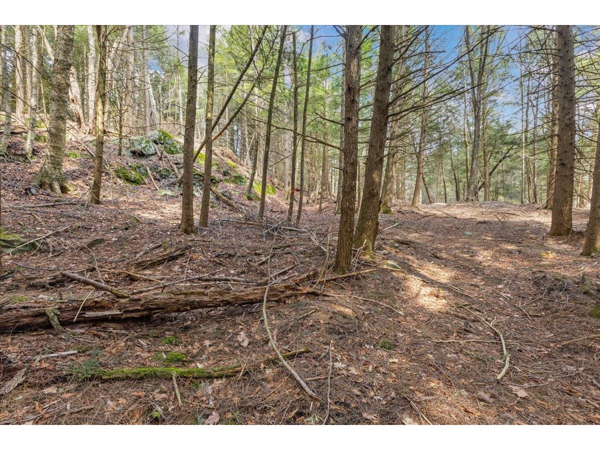 Lots 2 & 3 Hemlock Ridge