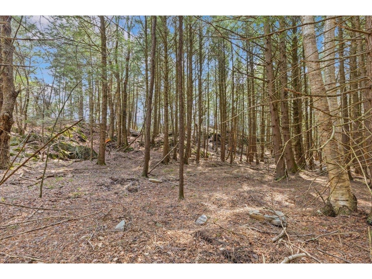 Lots 2 & 3 Hemlock Ridge
