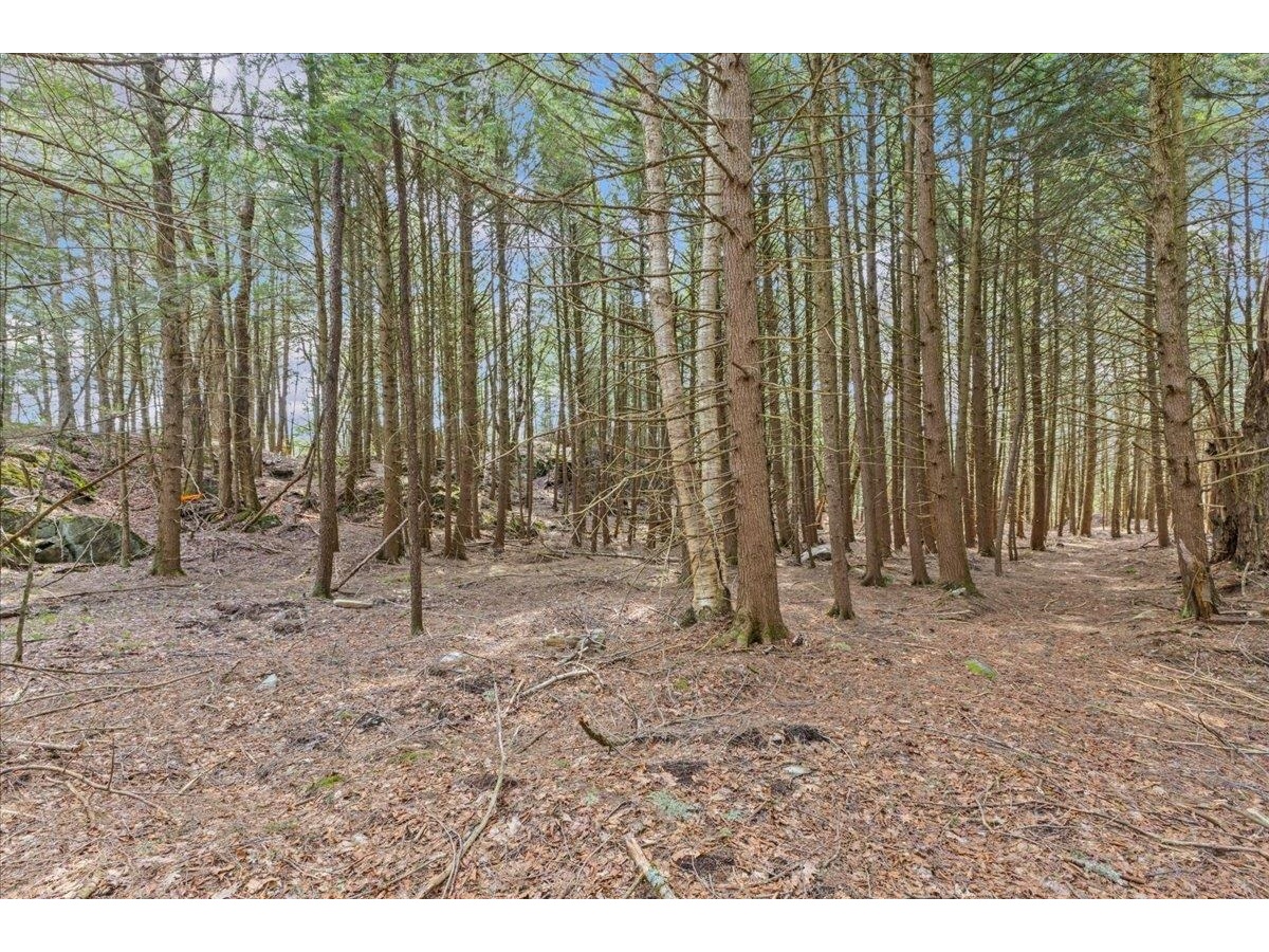 Lots 2 & 3 Hemlock Ridge