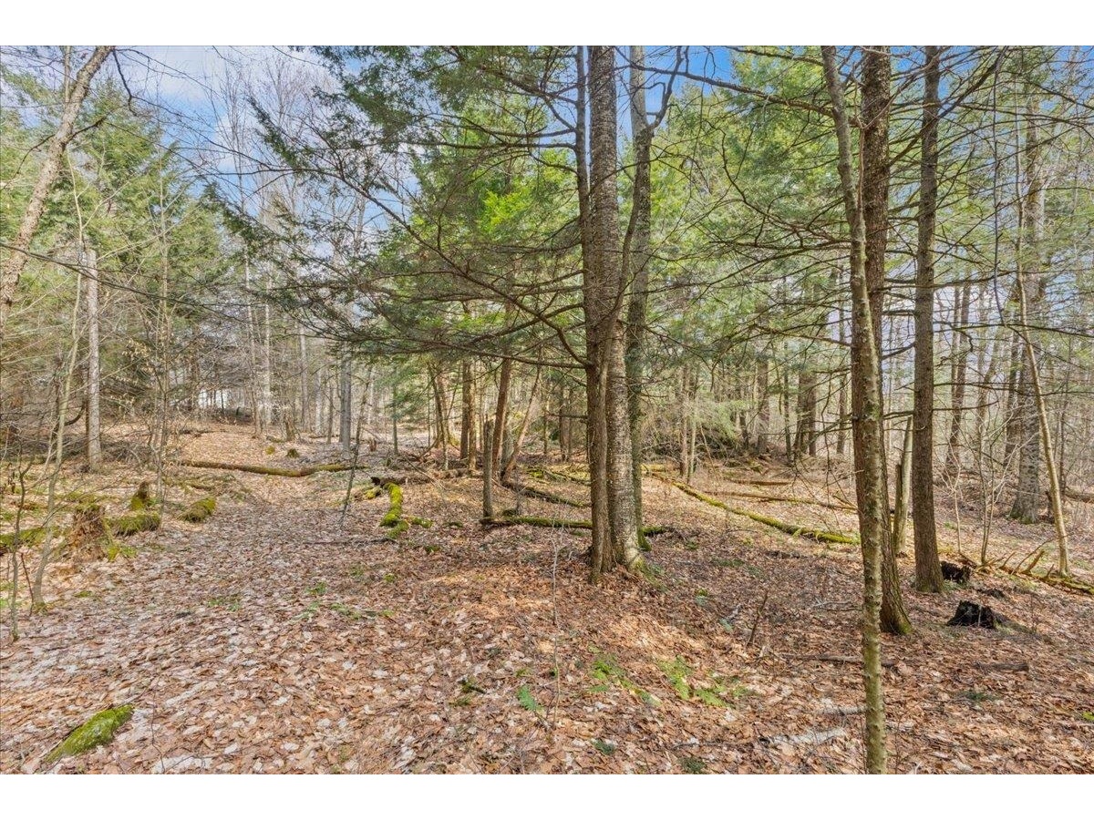 Lots 2 & 3 Hemlock Ridge