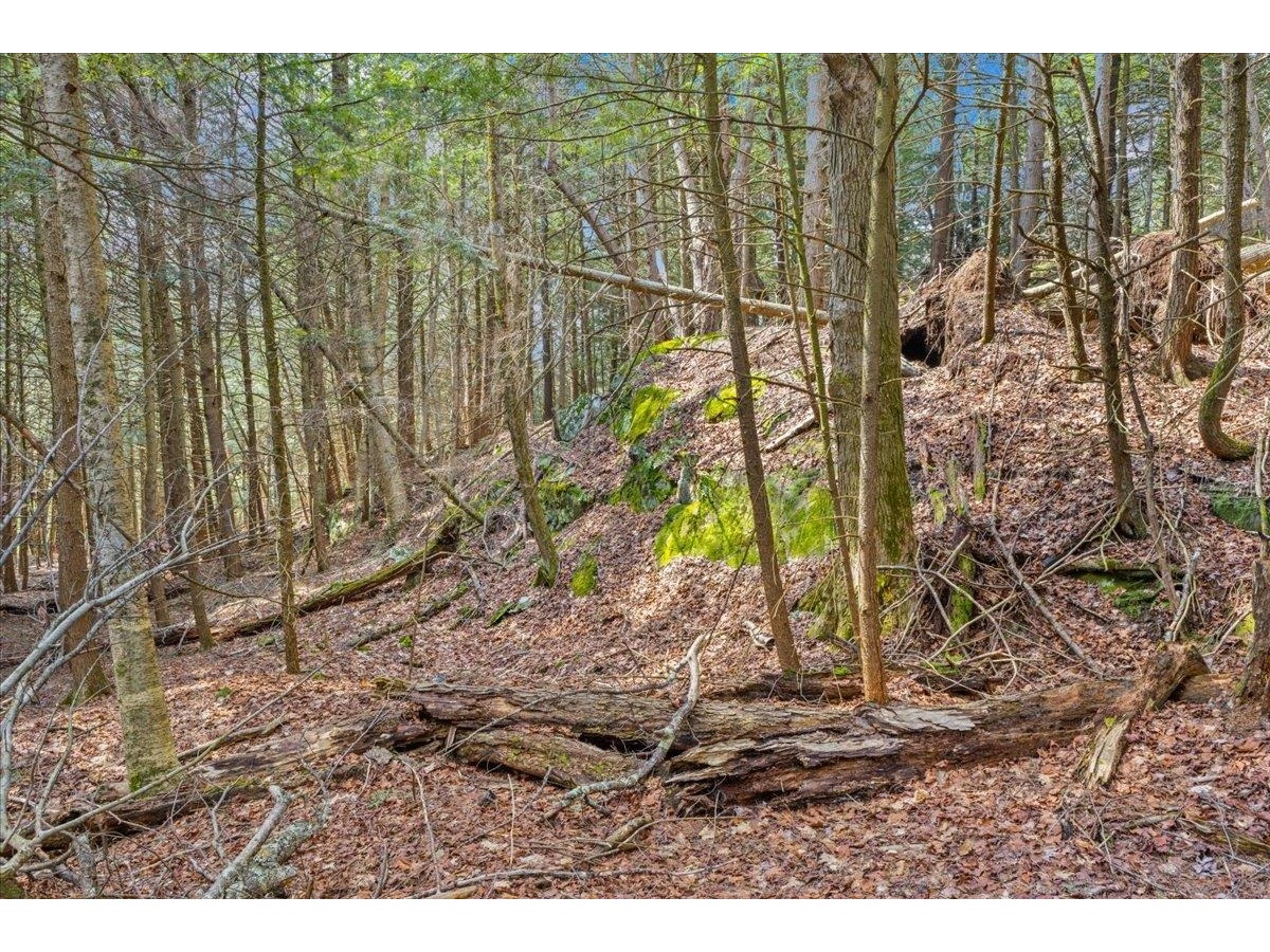 Lots 2 & 3 Hemlock Ridge