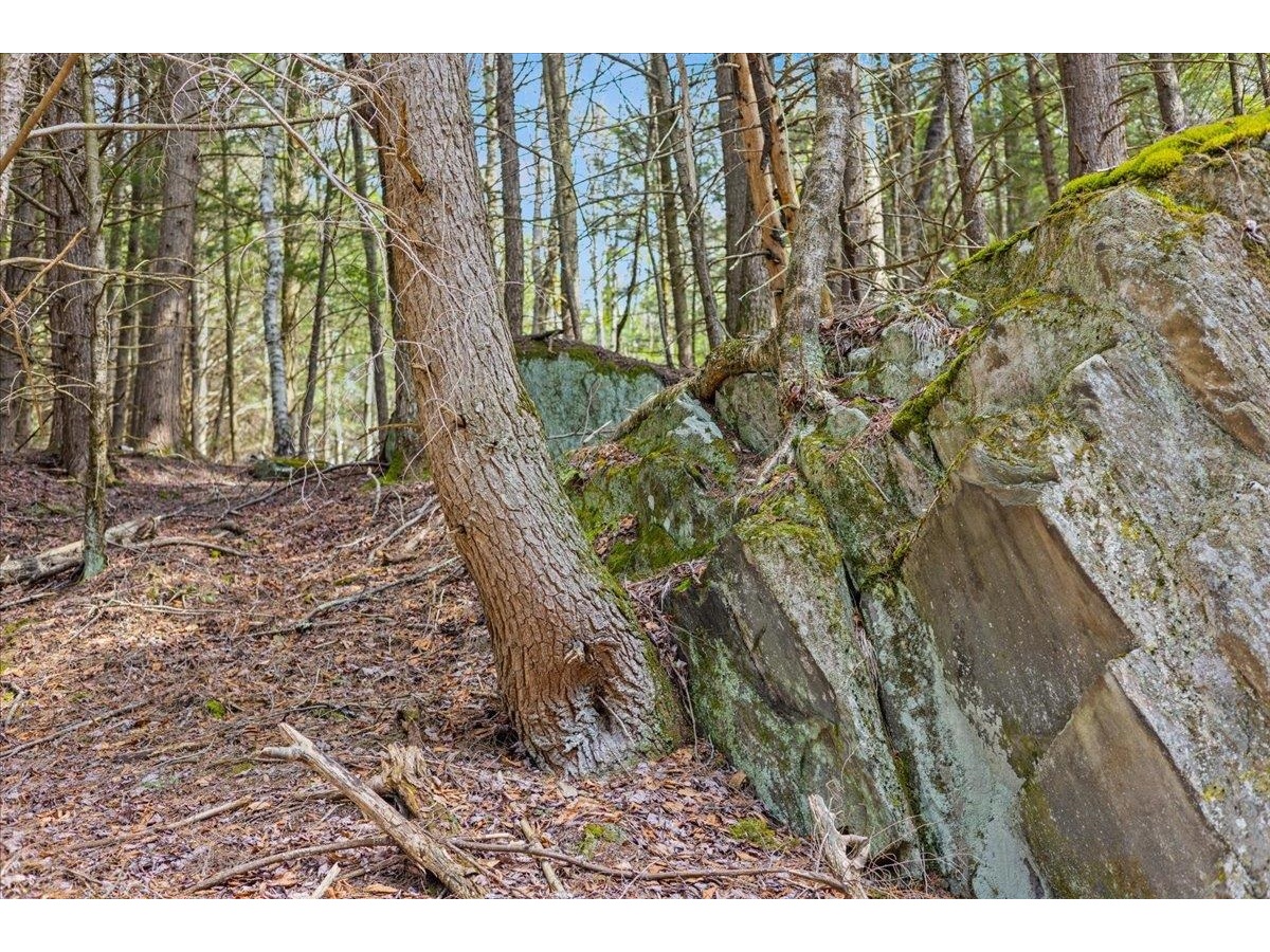 Lots 2 & 3 Hemlock Ridge