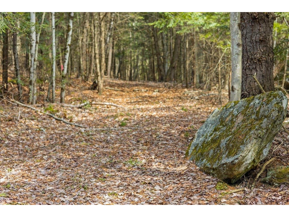 Lots 2 & 3 Hemlock Ridge