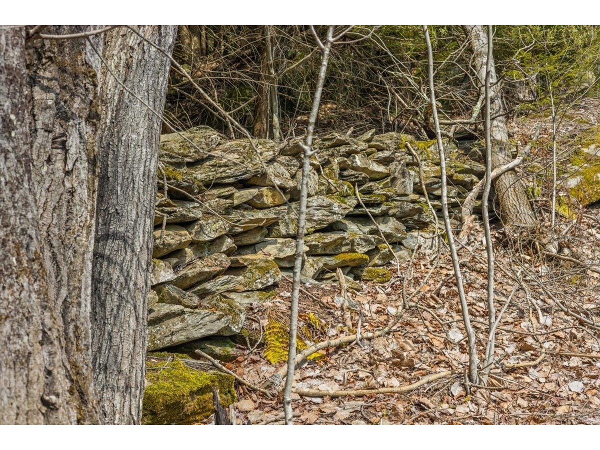 Lots 2 & 3 Hemlock Ridge