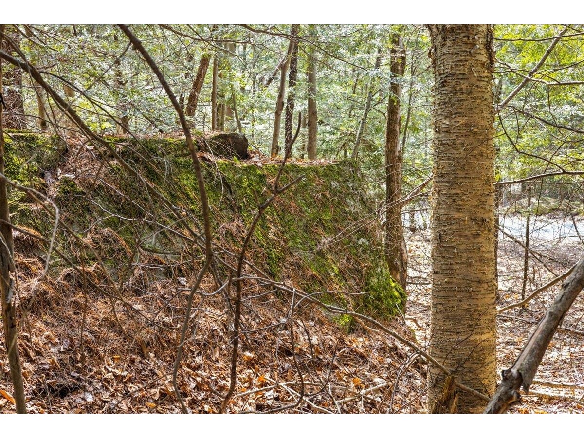 Lots 2 & 3 Hemlock Ridge