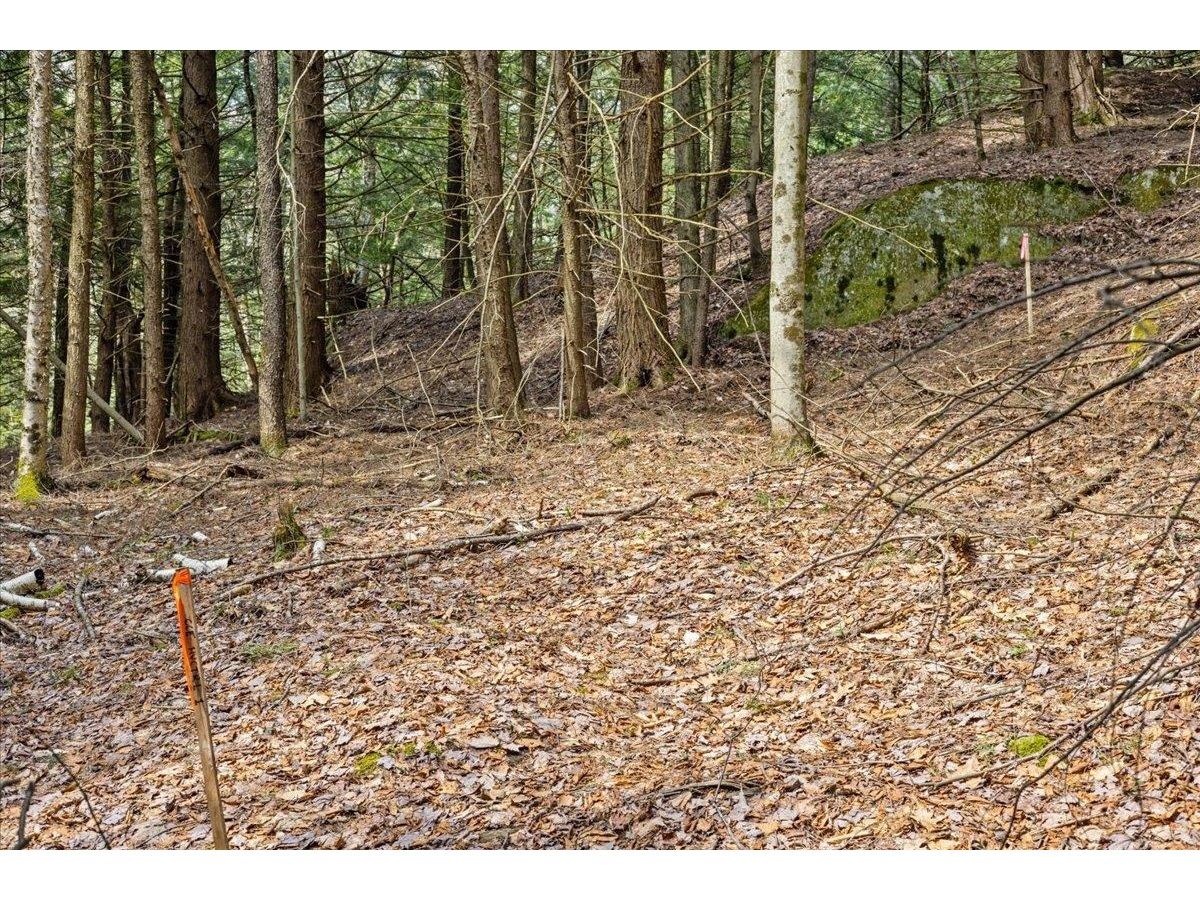 Lots 2 & 3 Hemlock Ridge