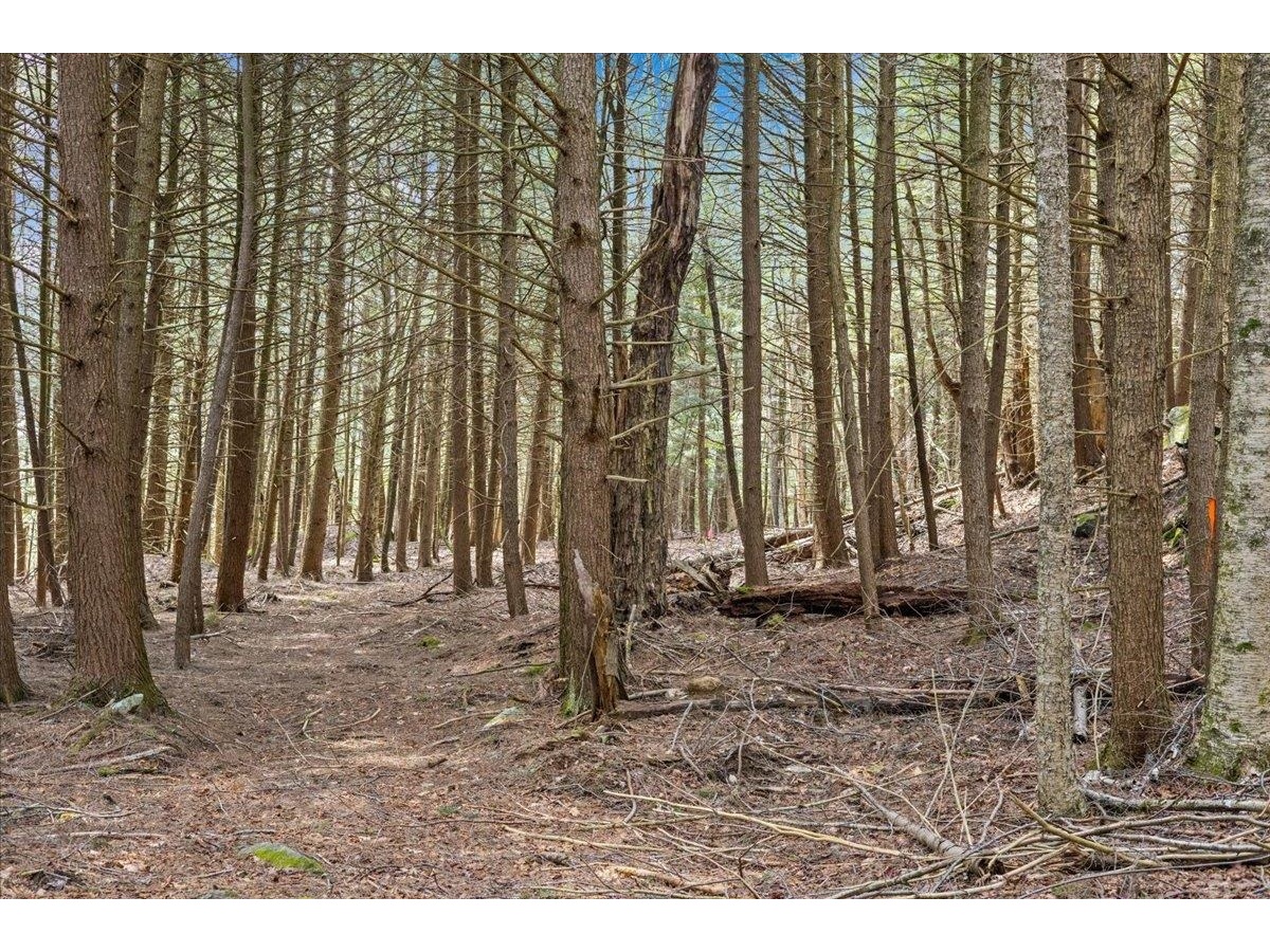 Lots 2 & 3 Hemlock Ridge