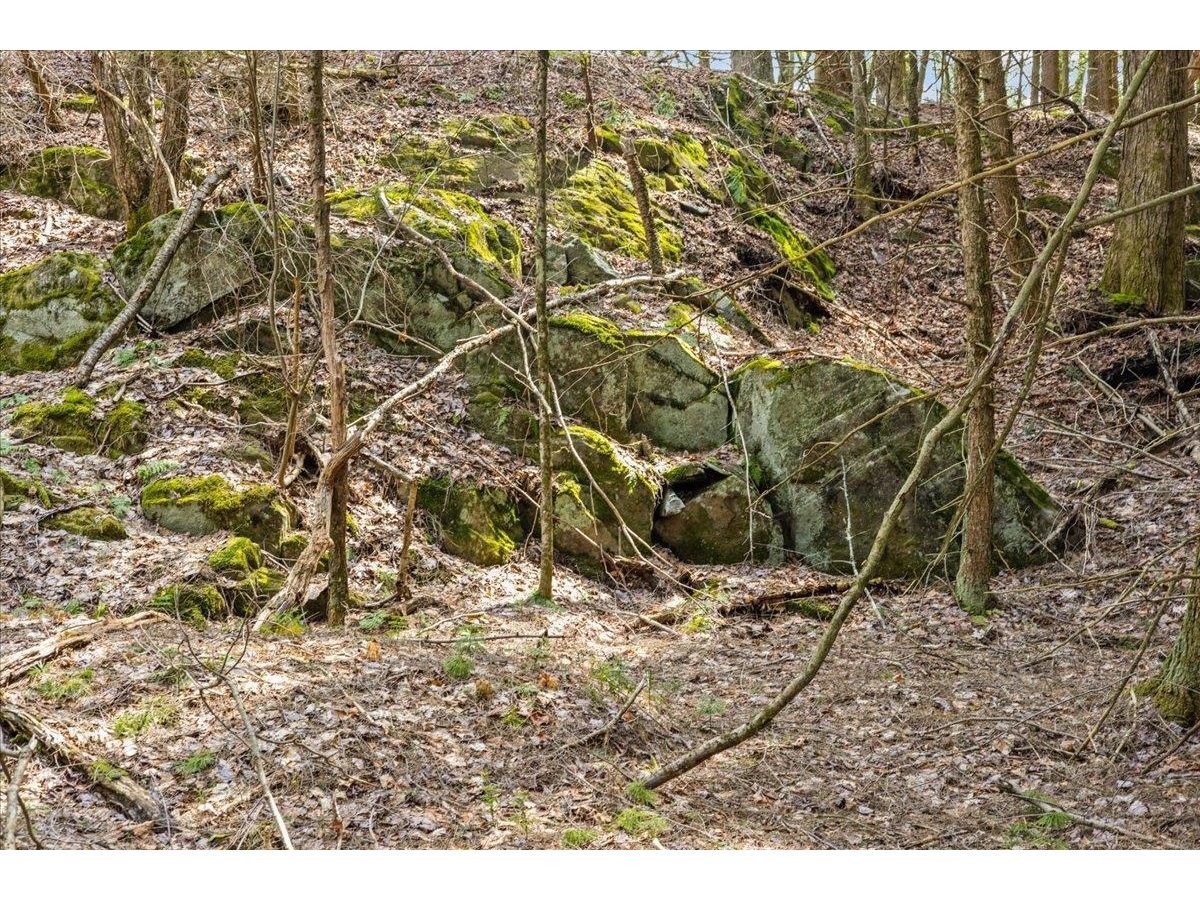 Lots 2 & 3 Hemlock Ridge