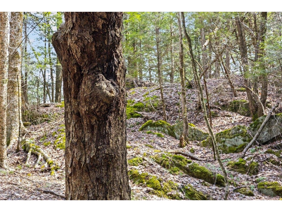 Lots 2 & 3 Hemlock Ridge