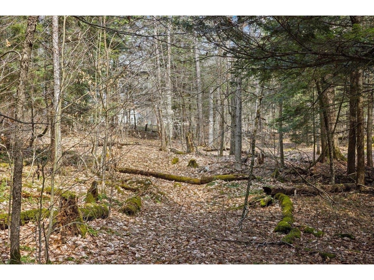 Lots 2 & 3 Hemlock Ridge