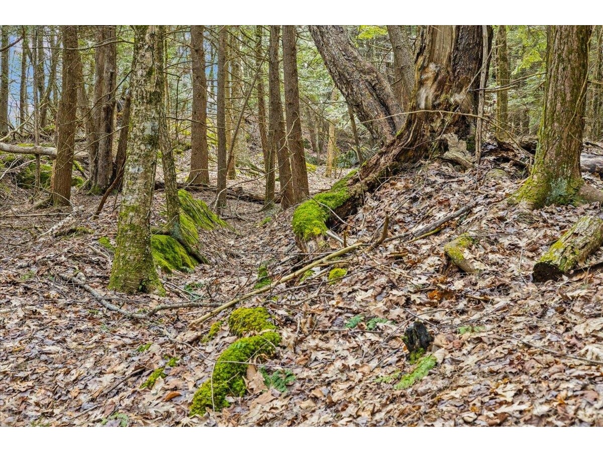 Lots 2 & 3 Hemlock Ridge