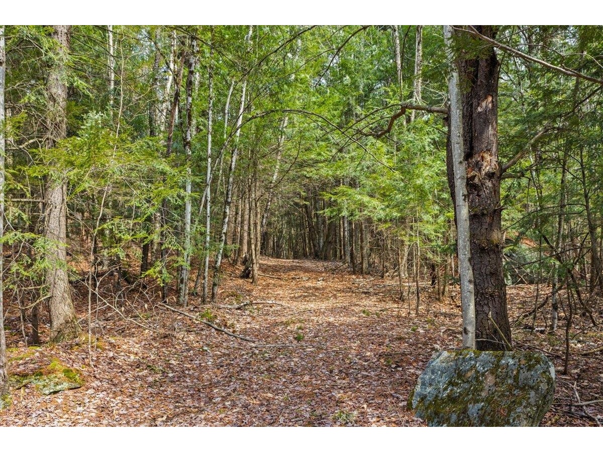 Lots 2 & 3 Hemlock Ridge