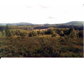 OFF FOSTER HILL ROAD